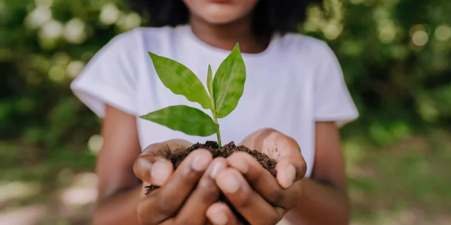 Preservar o meio ambiente é preservar a vida