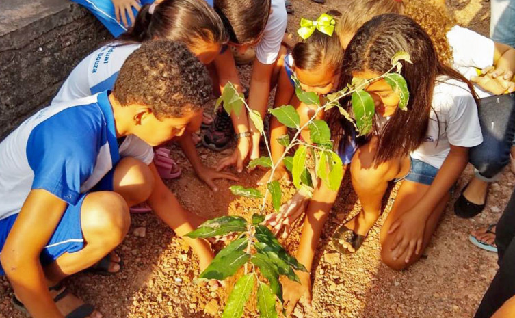 Preservação ambiental é tema de ações realizadas por escolas estaduais